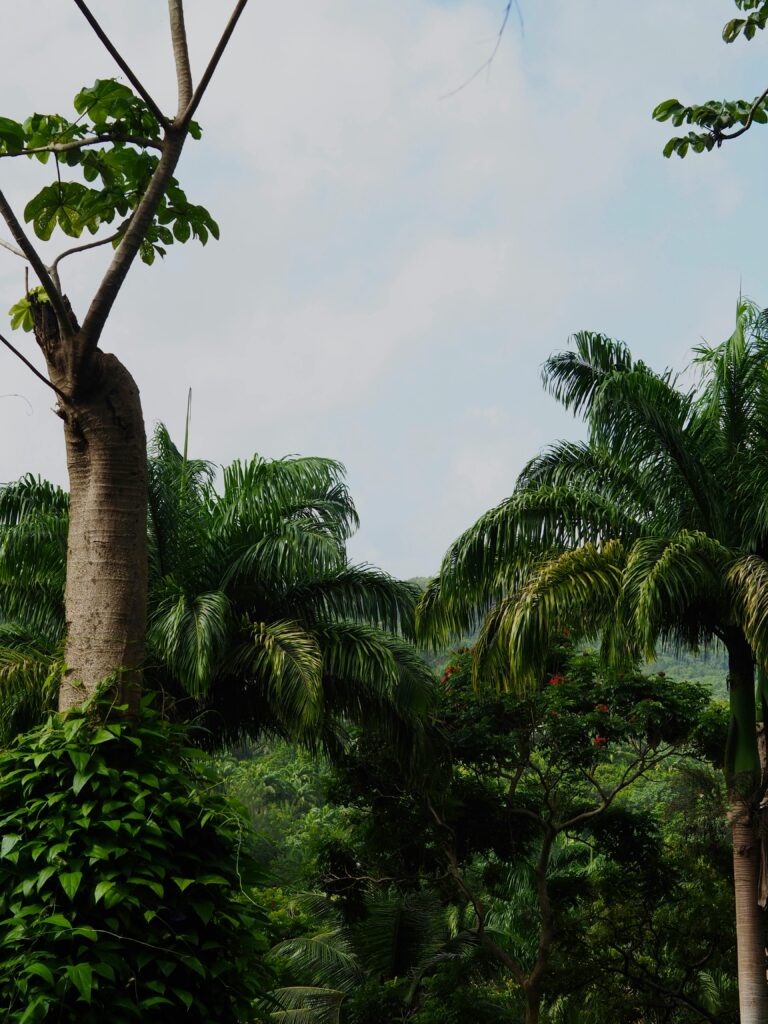 que-faire-belize-incontournables-conseils-travel-planner