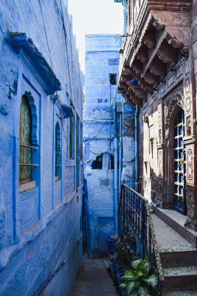 voyage-inde-travel-planner-alexandra