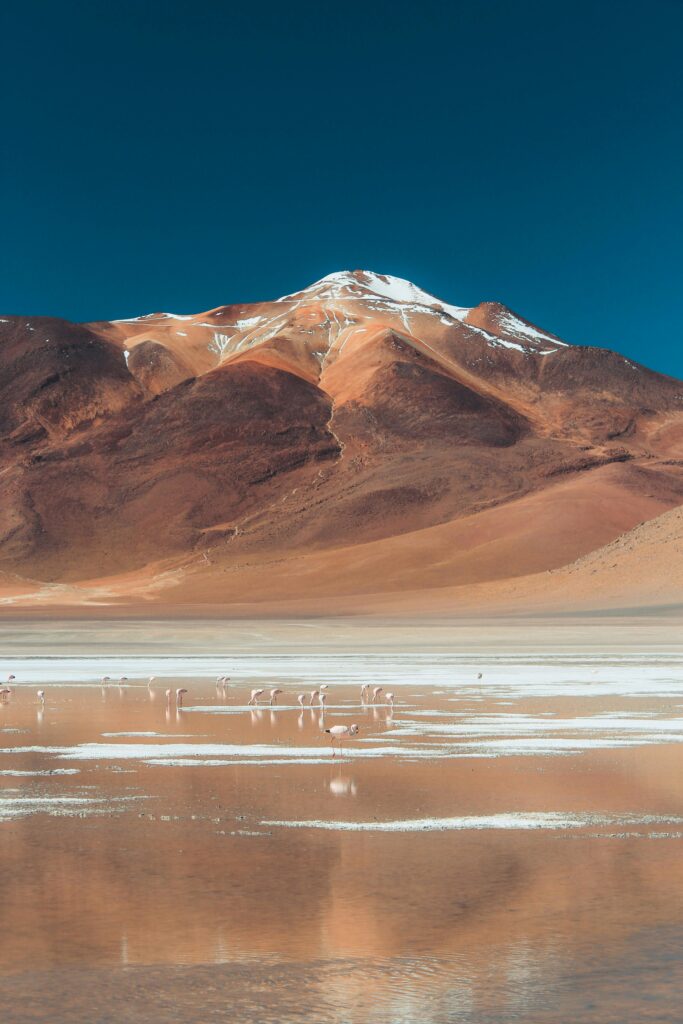 voyager-bolivie-alexandra-travel-planner