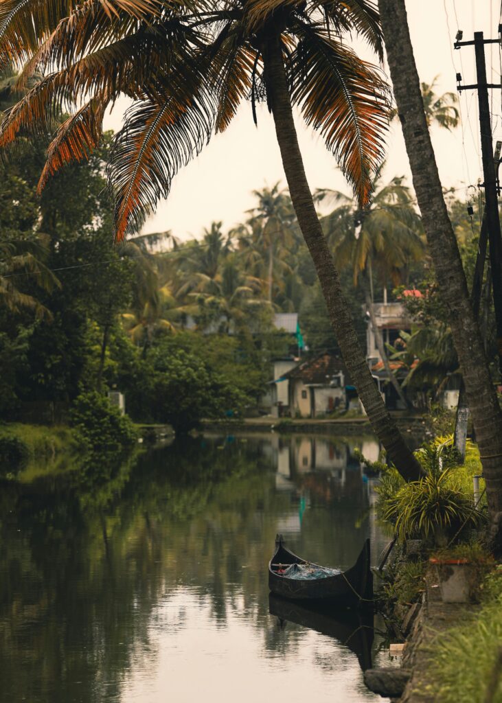 voyage-inde-travel-planner-alexandra
