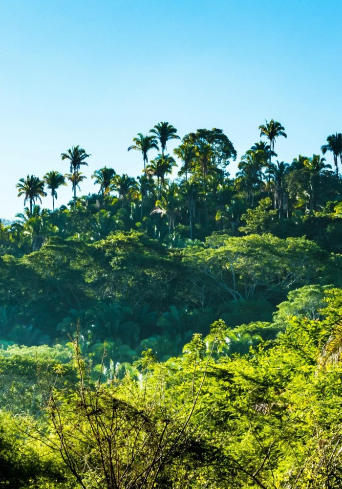 que-faire-belize-incontournables-conseils-travel-planner