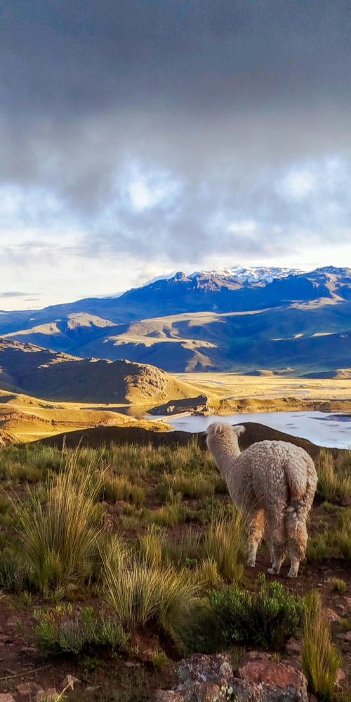voyager-bolivie-alexandra-travel-planner